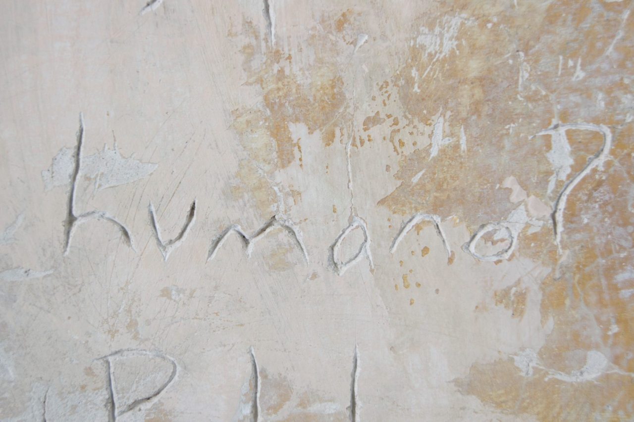 13064701_856043917858786_1609671083249646109_o