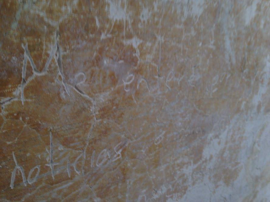 13084055_10154044388760915_395615850_n